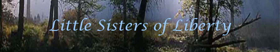 Little Sisters of Liberty